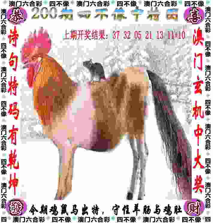 体操全锦赛收官 黄明淇一日两金